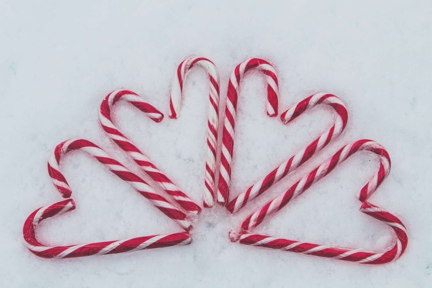 a group of candy canes in the snow