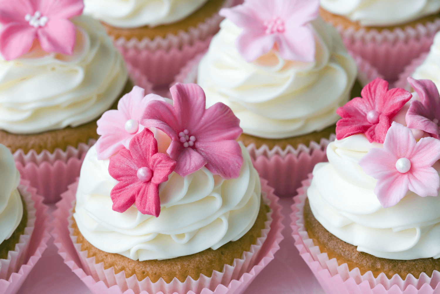 The Best Cake Decorating Kit: Everything You Need for Perfect Cakes a group of cupcakes with pink flowers